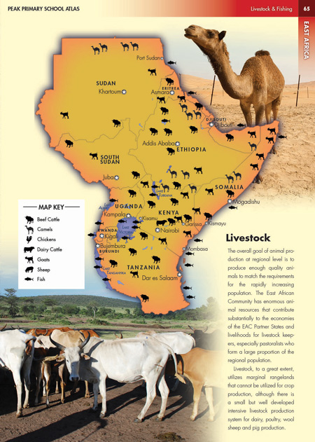 East Africa Livestock